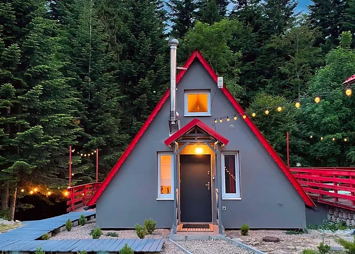 1725 - Slow Life זאבוייה